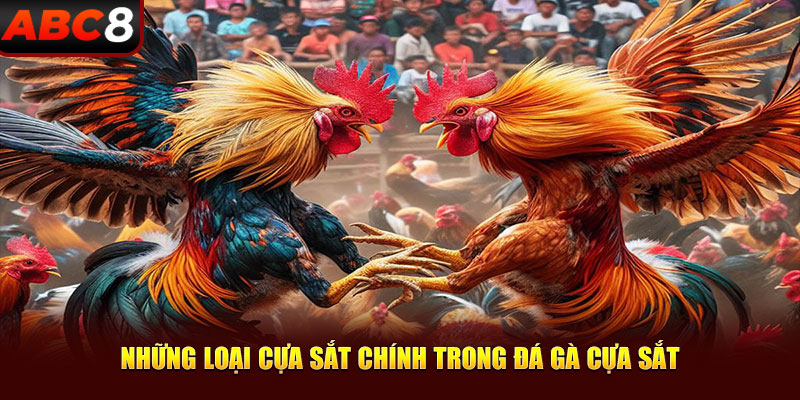 Những loại cựa sắt chính trong trò chơi đá gà cựa sắt